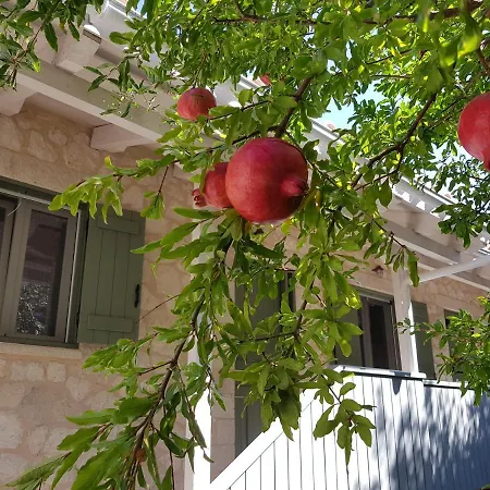 شقة Wild Sea Áyios Nikítas